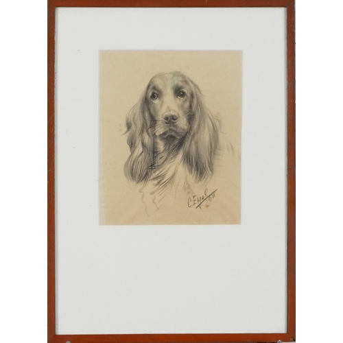 3582 - Portrait of a Spaniel, early 20th century pencil on paper, indistinctly signed, framed and glazed, 1... 