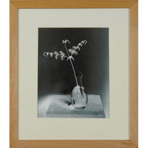 3471 - Vase and flowers on a stool, contemporary polarised photograph, framed and glazed, 23cm x 18cm