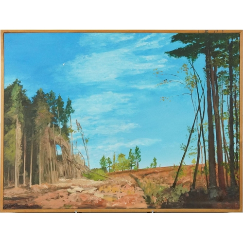 3531 - Woodland clearing, contemporary Modern British school oil on board within a pine frame, 75cm x 56cm