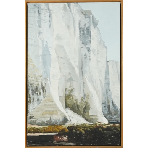 3532 - The White Cliffs of Dover, contemporary Modern British school oil on canvas within a pine frame, 77c... 