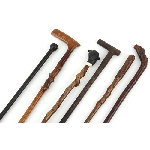 1422 - Six vintage and later wooden walking sticks including one carved with a pheasant head, the largest 9... 