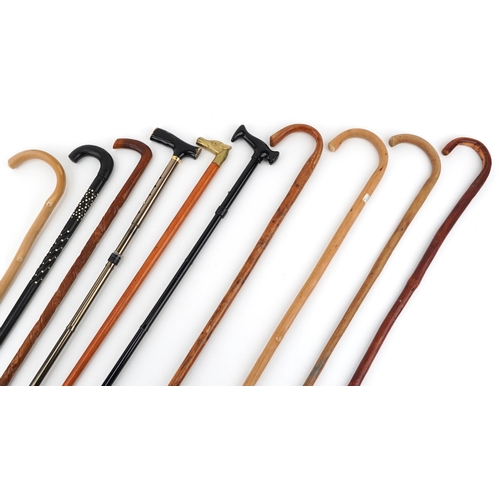 1428 - Mixed group of various walking sticks