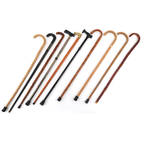 1428 - Mixed group of various walking sticks