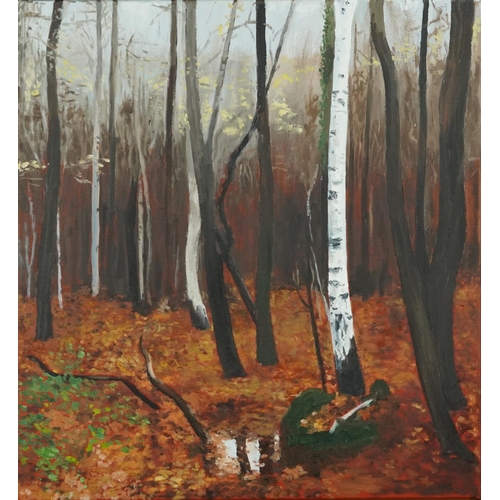 3591 - Woodland scene, contemporary Modern British school oil on canvas within a pine frame, 76cm x 71cm