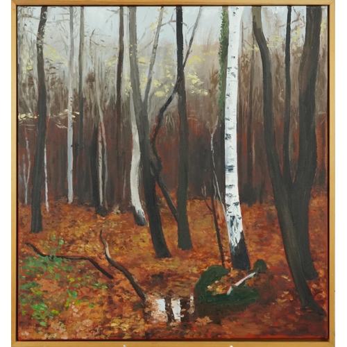 3591 - Woodland scene, contemporary Modern British school oil on canvas within a pine frame, 76cm x 71cm