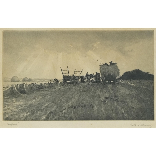 3522 - Greta Delaney - Cornfield, 20th century British school aquatint, framed and glazed, 25cm x 16cm