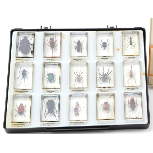 111 - Collection of thirty specimen insects and arachnids, some named, each encased in a clear acrylic blo... 