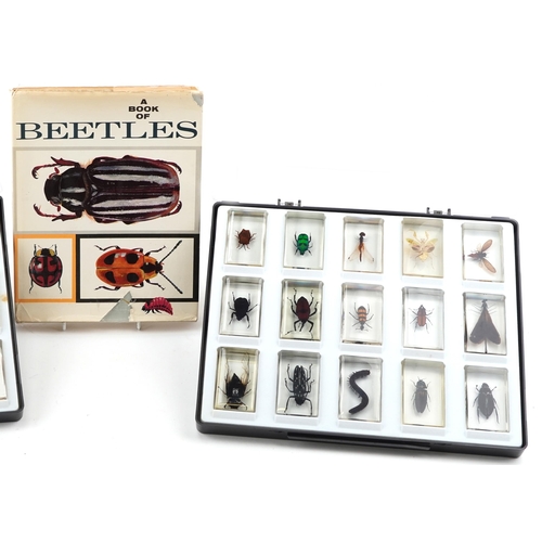 111 - Collection of thirty specimen insects and arachnids, some named, each encased in a clear acrylic blo... 