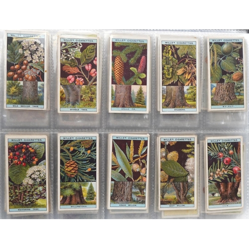 2304 - Collection of cigarette cards and tea cards, some arranged in albums, including a set of fifty John ... 