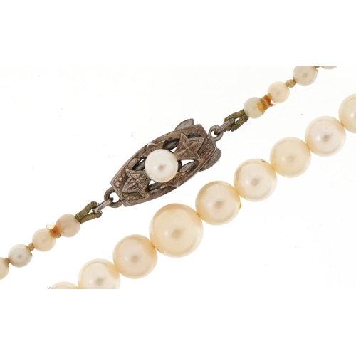 3153 - Mikimoto, Japanese graduated pearl necklace, the largest pearl 7.0mm in diameter, 55cm in length, 16... 