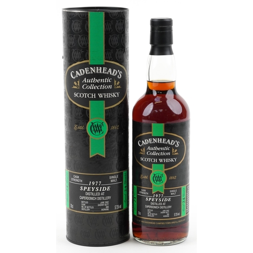 587 - Bottle of Cadenhead's 1977 Speyside Authentic Collection 24 Year Scotch whisky with box