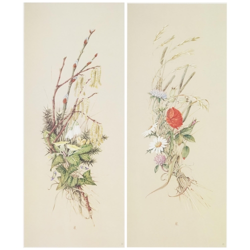 3505 - Harry Spencer - Pair of botanical prints, each signed and editioned, framed and glazed, 44cm x 19cm