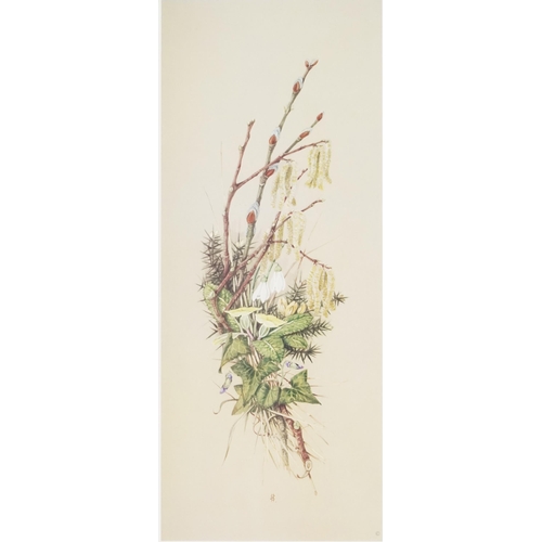 3505 - Harry Spencer - Pair of botanical prints, each signed and editioned, framed and glazed, 44cm x 19cm