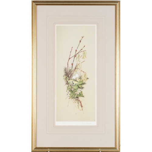 3505 - Harry Spencer - Pair of botanical prints, each signed and editioned, framed and glazed, 44cm x 19cm