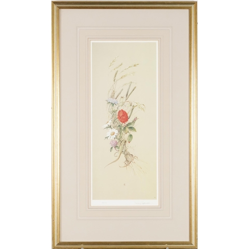 3505 - Harry Spencer - Pair of botanical prints, each signed and editioned, framed and glazed, 44cm x 19cm