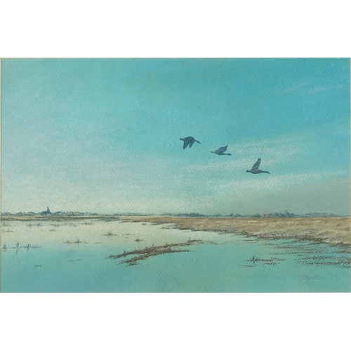 3502 - L. M. Esgate - Last Flights, pastel on paper, signed lower right corner within a pine frame, 31cm x ... 