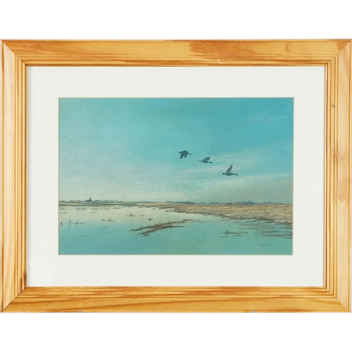 3502 - L. M. Esgate - Last Flights, pastel on paper, signed lower right corner within a pine frame, 31cm x ... 