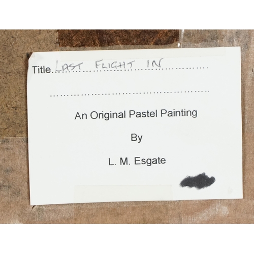 3502 - L. M. Esgate - Last Flights, pastel on paper, signed lower right corner within a pine frame, 31cm x ... 