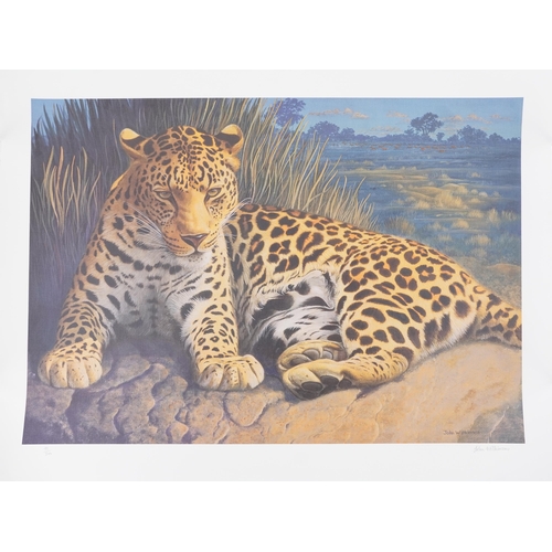 3576 - Two John Wilkinson Image-Direct prints, one of a leopard, one of a tiger, each with a certificate of... 