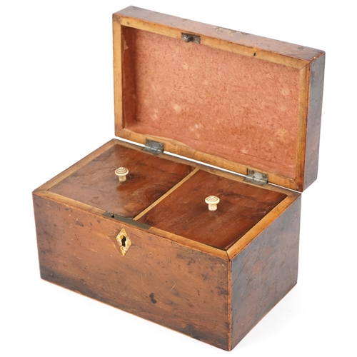 337 - George III fruit wood tea caddy with boxwood line inlaid decoration, the hinged top revealing two co... 