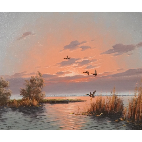 3412 - G. Brouwer - Continental landscape with ducks in flight, 20th century oil on canvas, within a gilt c... 