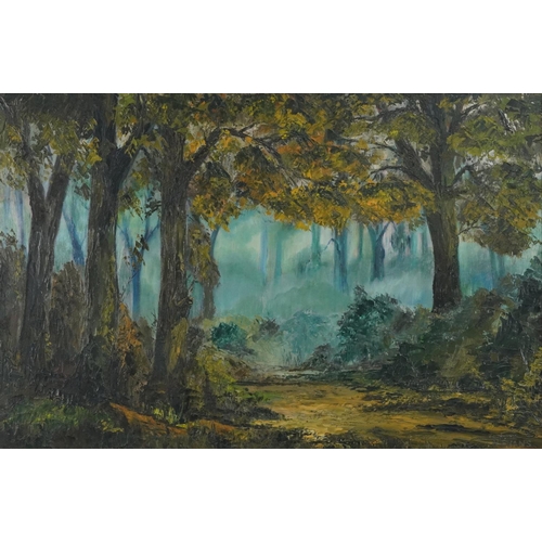 3593 - N. Evans - Woodland scene, 20th century Welsh school oil on board, framed, 74cm x 49cm