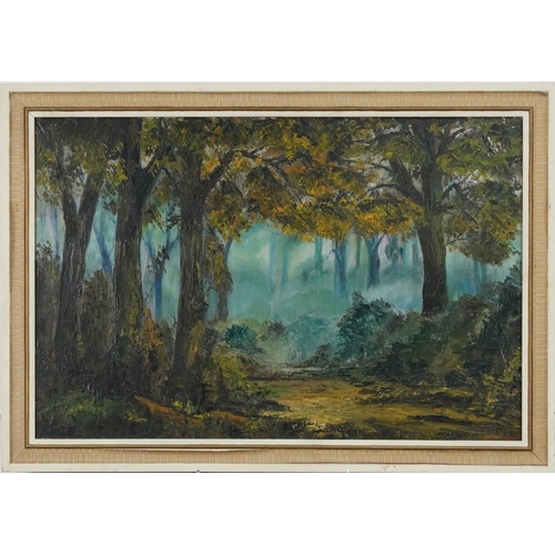 3593 - N. Evans - Woodland scene, 20th century Welsh school oil on board, framed, 74cm x 49cm