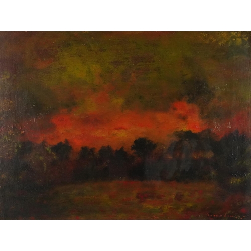 3596 - Wildfire, 20th century Dutch Impressionist school oil on board, indistinctly signed lower right corn... 