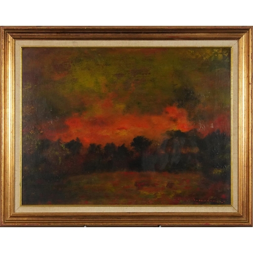 3596 - Wildfire, 20th century Dutch Impressionist school oil on board, indistinctly signed lower right corn... 