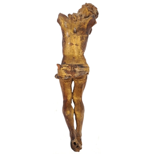 294 - 18th century, probably Italian, carved and gilded softwood Corpus Christi lacking arms, 20cm in leng... 