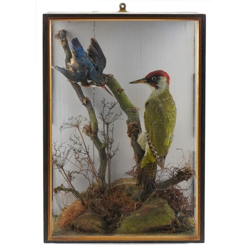 106 - Late 19th century taxidermy specimen group of a green woodpecker and a blue kingfisher, each perched... 