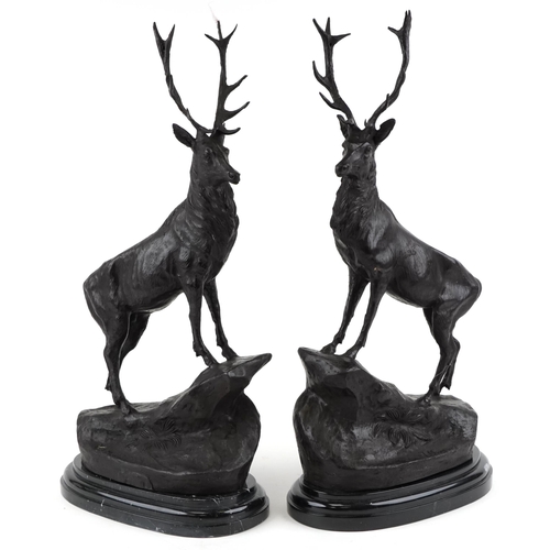 281 - After Jules Moigniez, pair of large patinated bronze stags, each raised on a shaped carved marble ba... 