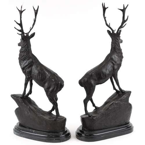 281 - After Jules Moigniez, pair of large patinated bronze stags, each raised on a shaped carved marble ba... 