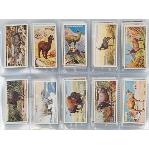 2296 - Nine albums of cigarette cards to include Player's Natural History set of fifty, Ogden's Zoo Studies... 