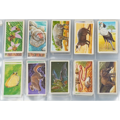 2296 - Nine albums of cigarette cards to include Player's Natural History set of fifty, Ogden's Zoo Studies... 