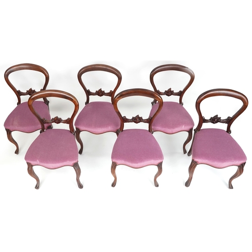 1107 - A set of six Victorian mahogany balloon back dining chairs with overstuffed seats upholstered in a p... 