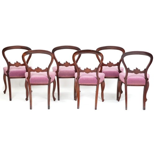 1107 - A set of six Victorian mahogany balloon back dining chairs with overstuffed seats upholstered in a p... 