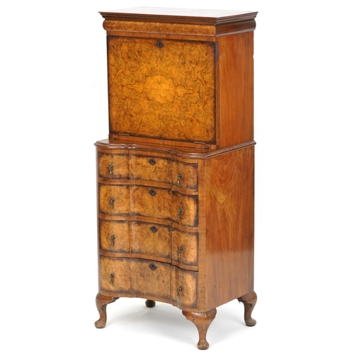 1011 - Early 20th century Queen Anne style burr walnut bachelors secretaire chest of four drawers on cabrio... 