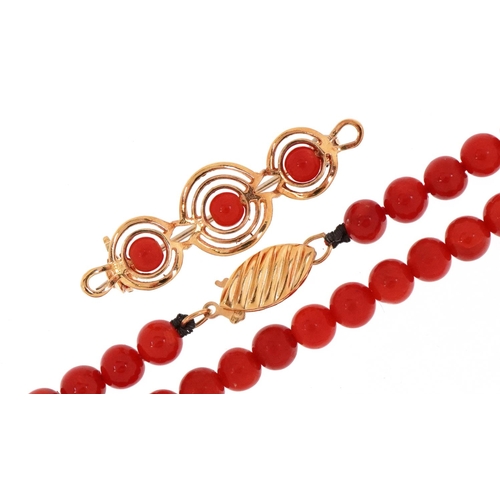 3239 - Single string coral bead necklace with 18ct gold clasp and a yellow metal brooch set with coral, the... 