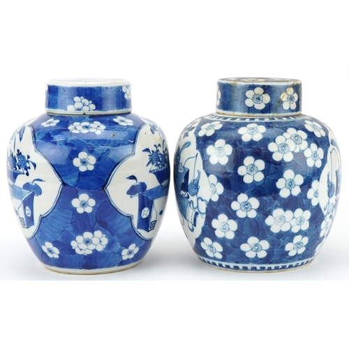 50 - Two Chinese blue and white ginger jars and covers, Kangxi period, 20cm high