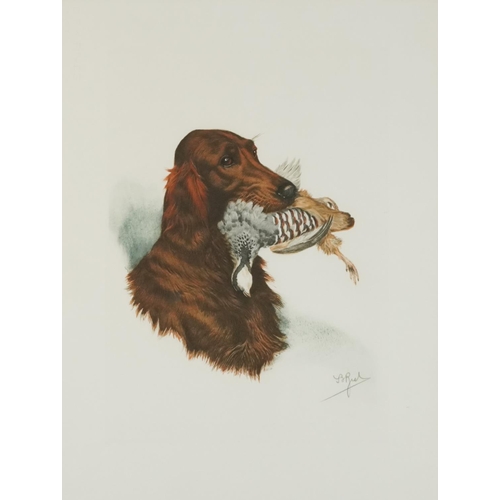 3508 - J B Ruel?  - Dogs with game birds, six prints, each contemporary mounted, framed and glazed, each 60... 