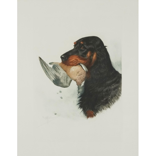 3508 - J B Ruel?  - Dogs with game birds, six prints, each contemporary mounted, framed and glazed, each 60... 