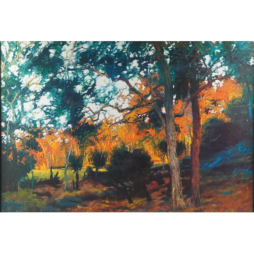 3645 - Rolf Harris - Bush Sunset, artist's proof limited edition print on canvas with certificate of authen... 