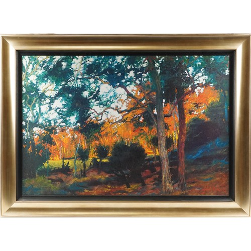 3645 - Rolf Harris - Bush Sunset, artist's proof limited edition print on canvas with certificate of authen... 