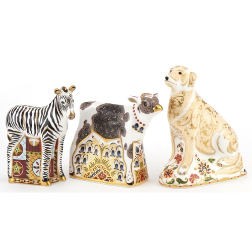 1171 - Three Royal Crown Derby animal paperweights with stoppers comprising Zebra Baby, Labrador and Bluebe... 