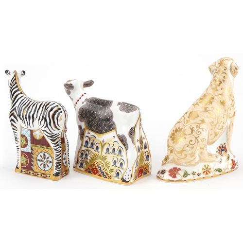 1171 - Three Royal Crown Derby animal paperweights with stoppers comprising Zebra Baby, Labrador and Bluebe... 