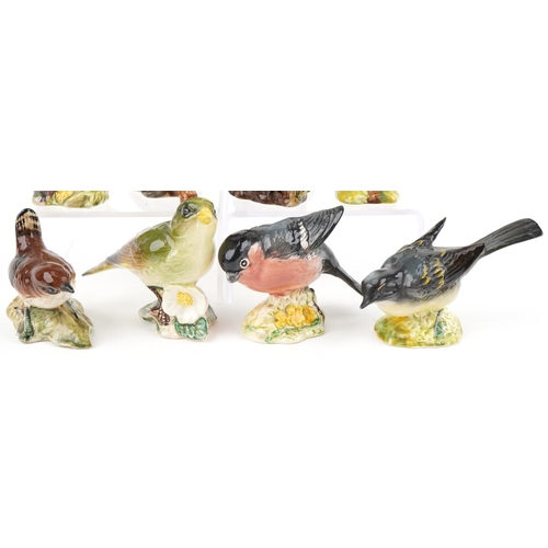 1189 - Eight Beswick birds including Robin, Goldfinch, Wren and Chaffinch, the largest 7.5cm high