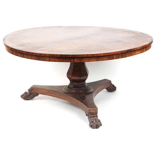 1130 - A Regency rosewood circular tip-top centre table raised on a baluster column, platform base and paw ... 