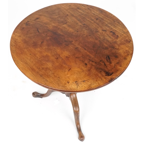 1006 - A George III mahogany tip top circular wine table raised on a turned and reeded support and tripod c... 