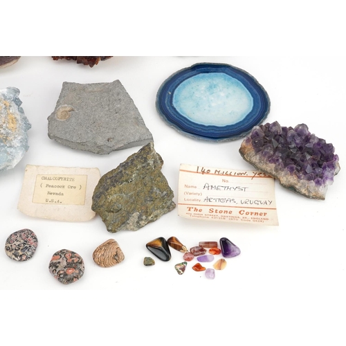 1468 - A collection of rock specimens and minerals including amethyst, garnet, quartz, agate and an ammonit... 